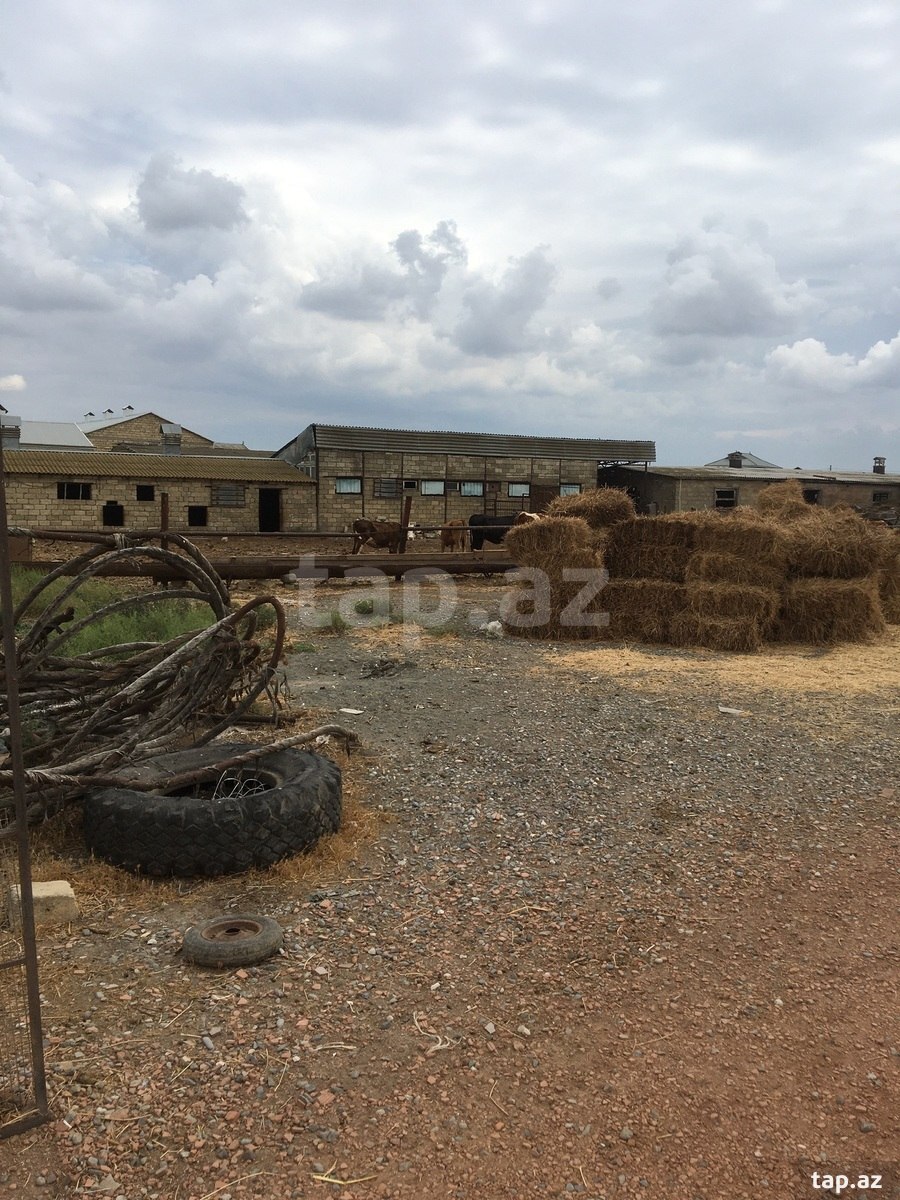 Commercial property for sale, Baku