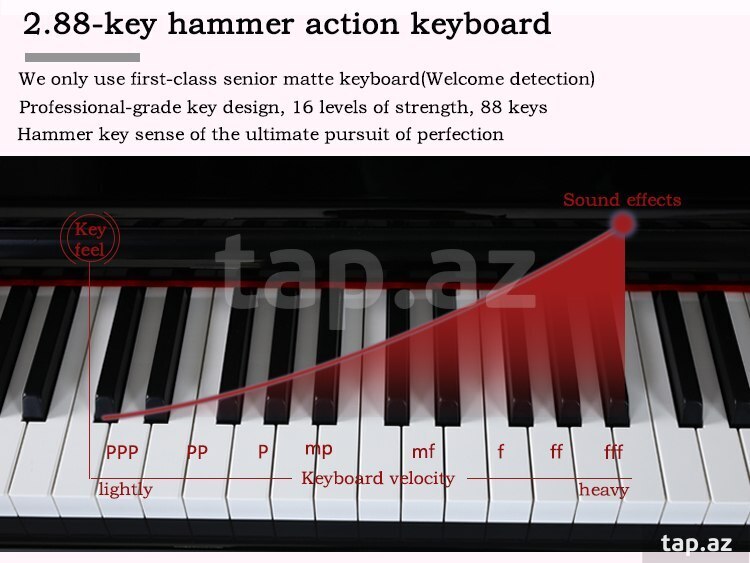 Elektro pianinolar "Symphony" (21)