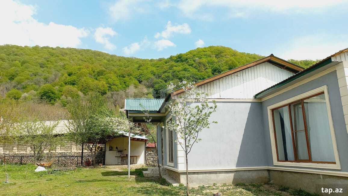 Həyət evi kirayə verilir, Qəbələ ş. (6)