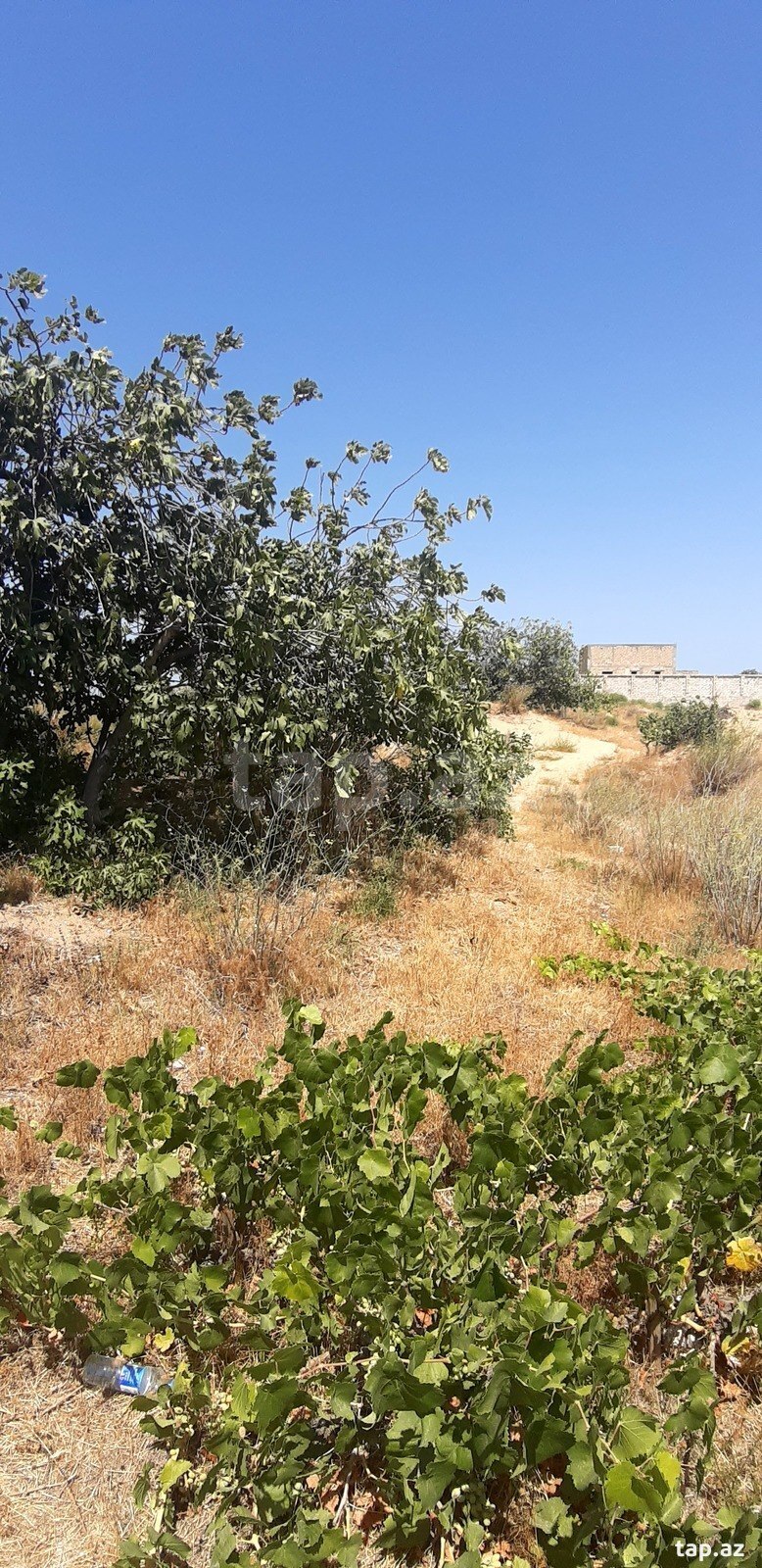 Land for sale, Sea Breeze, Baku