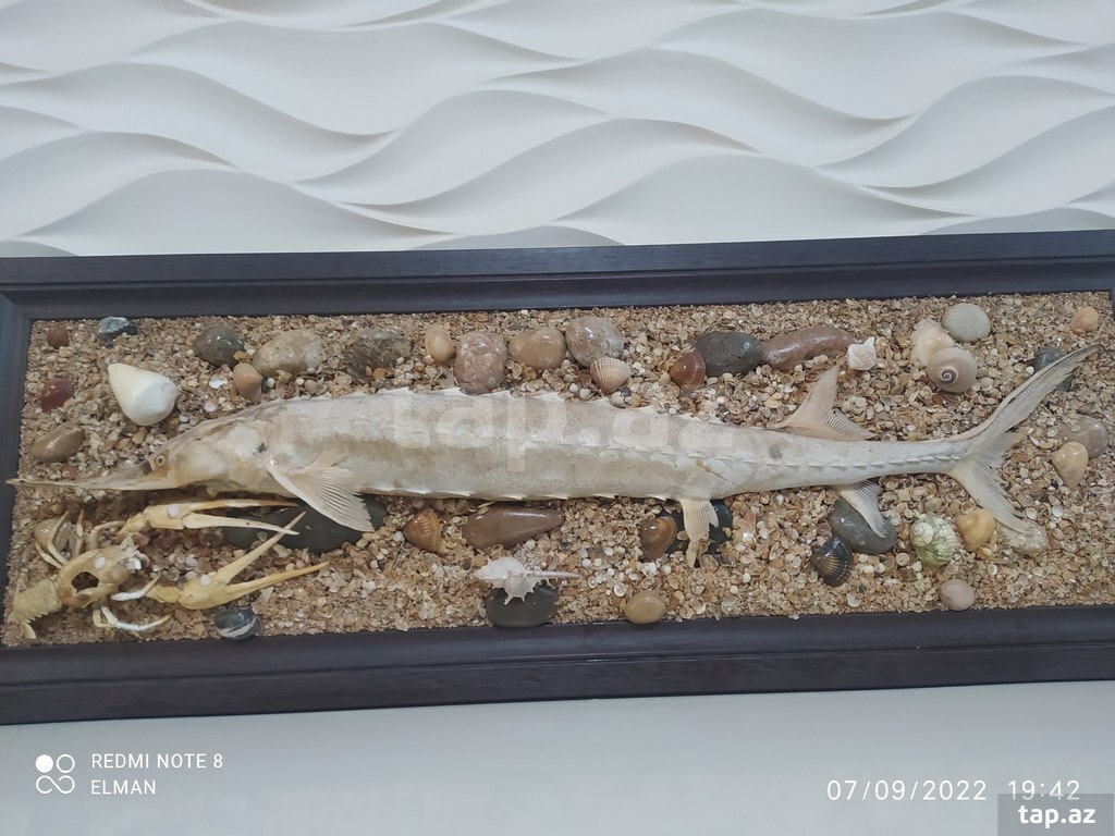 Əl işi  (2)