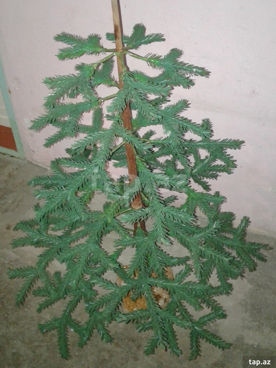 Şam ağacı və aksesuarları