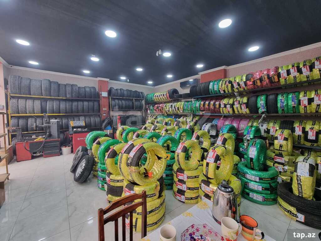 "Winda" şinləri 225/45 R17  (3)