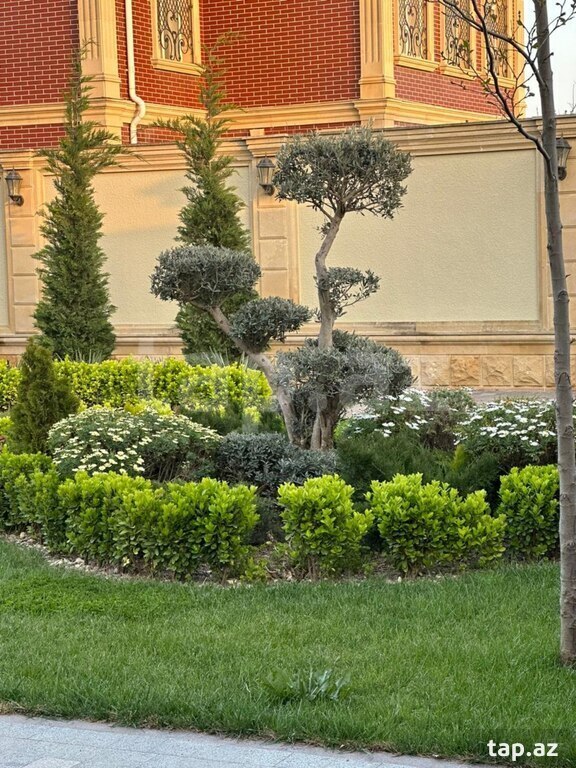 Bağ evi kirayə verilir, Şüvəlan qəs.