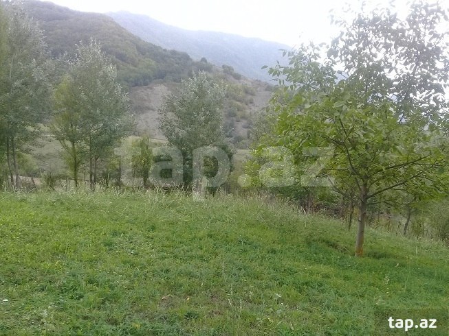 Land for sale, Ismayilli, Ismayilli