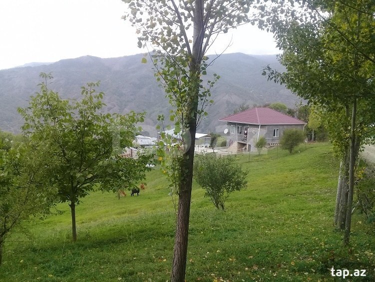 Land for sale, Ismayilli, Ismayilli