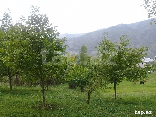 Land for sale, Ismayilli, Ismayilli