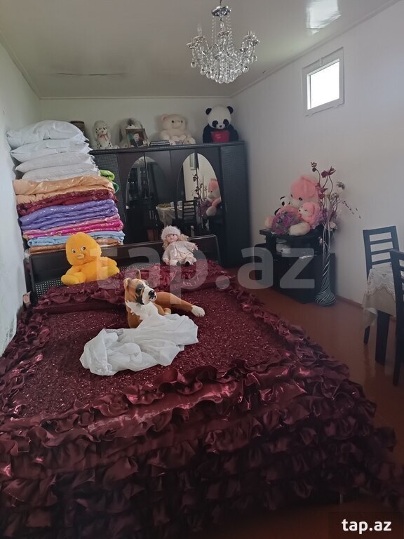 Həyət evi, Şəki ş.