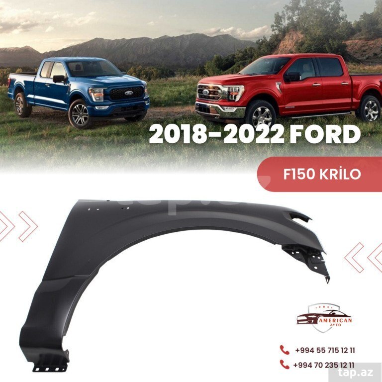 "Ford F150" qanadı
