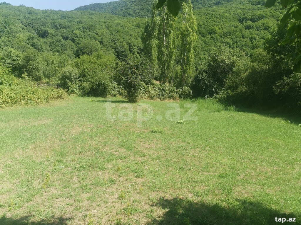 53 sot torpaq sahəsi, Şamaxı r. (11)