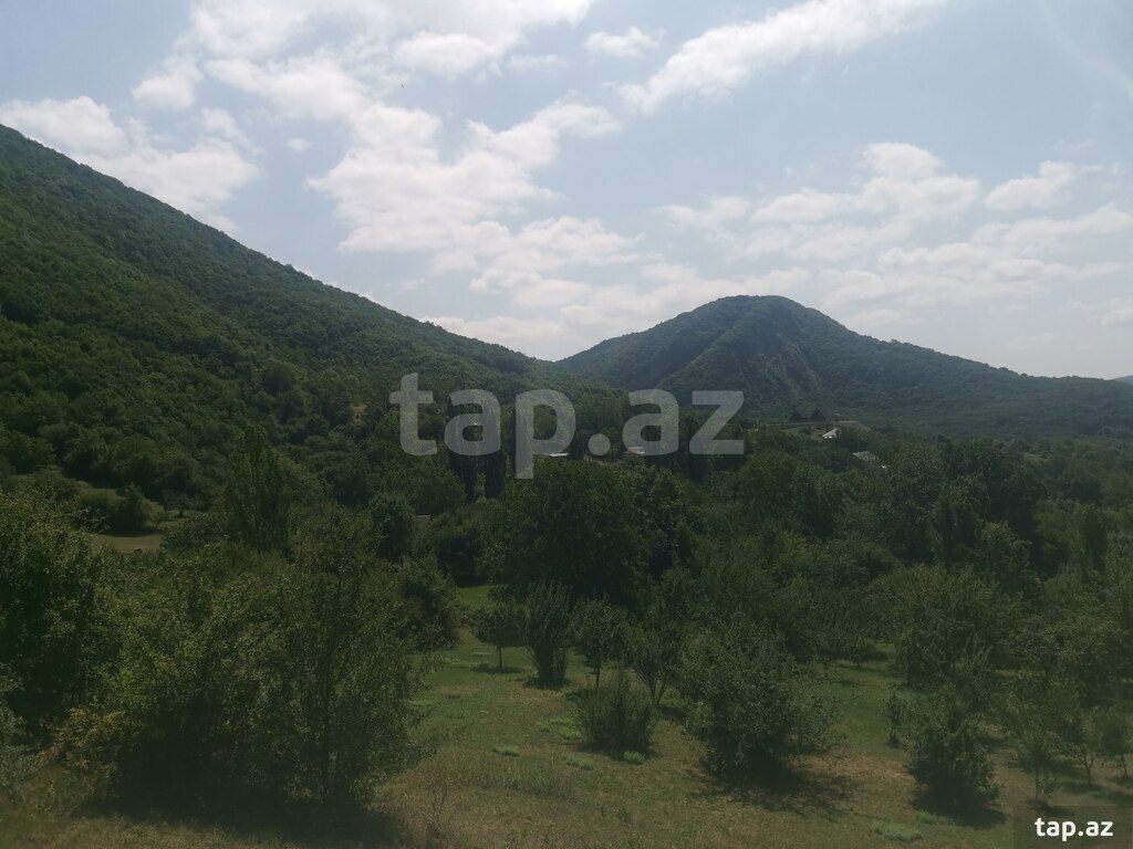 53 sot torpaq sahəsi, Şamaxı r. (14)