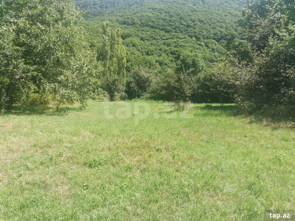 53 sot torpaq sahəsi, Şamaxı r. (12)