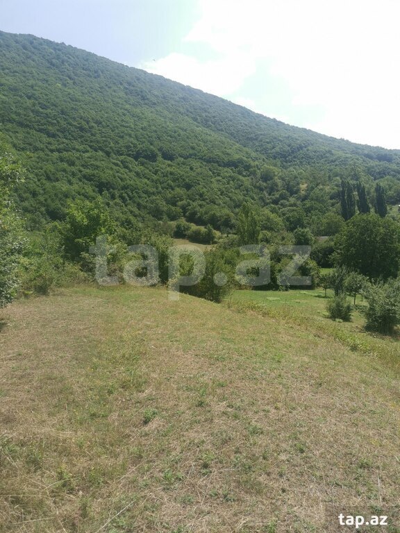 53 sot torpaq sahəsi, Şamaxı r. (16)