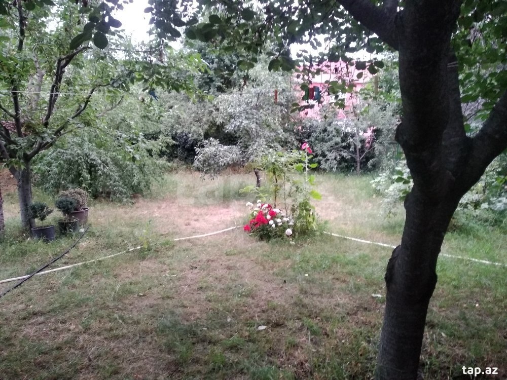 Həyət evi kirayə verilir, Qusar r. (17)