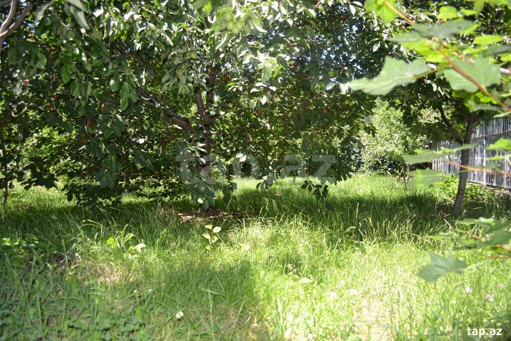 Həyət evi kirayə verilir, Qusar r. (13)