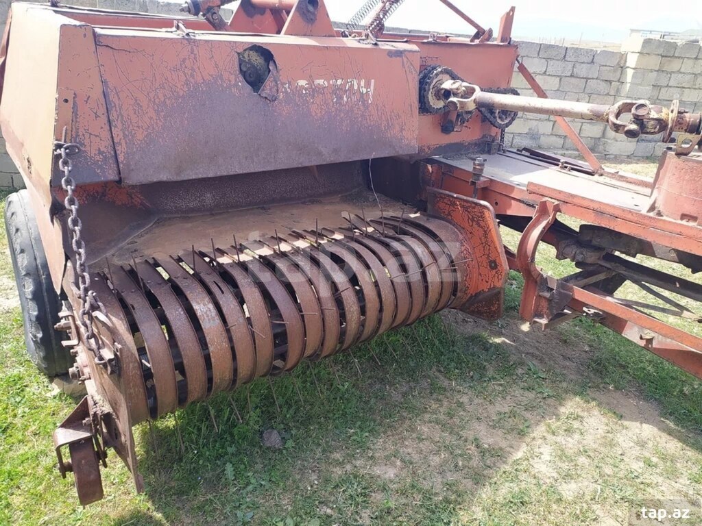 Presbağlayan (2)