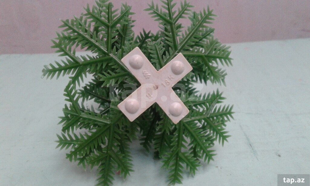 Miniatür şam ağacı (2)