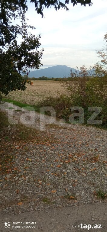 Torpaq satılır, Qəbələ, Qəbələ