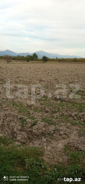 Torpaq satılır, Qəbələ, Qəbələ