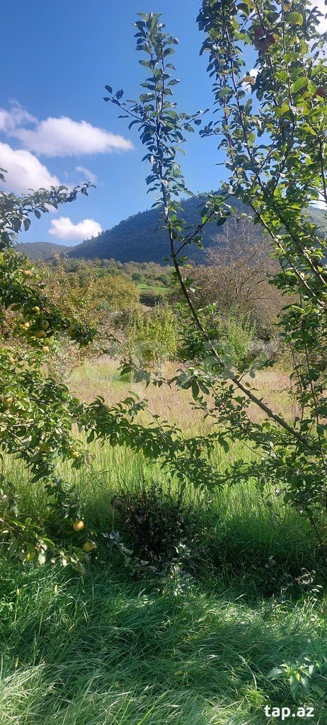 Land for sale, Ismayilli, Ismayilli