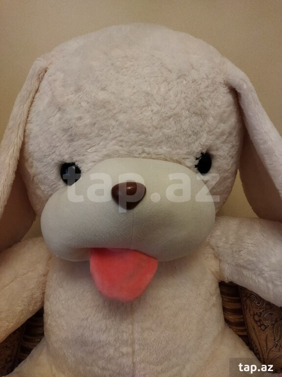 Oyuncaq it (2)