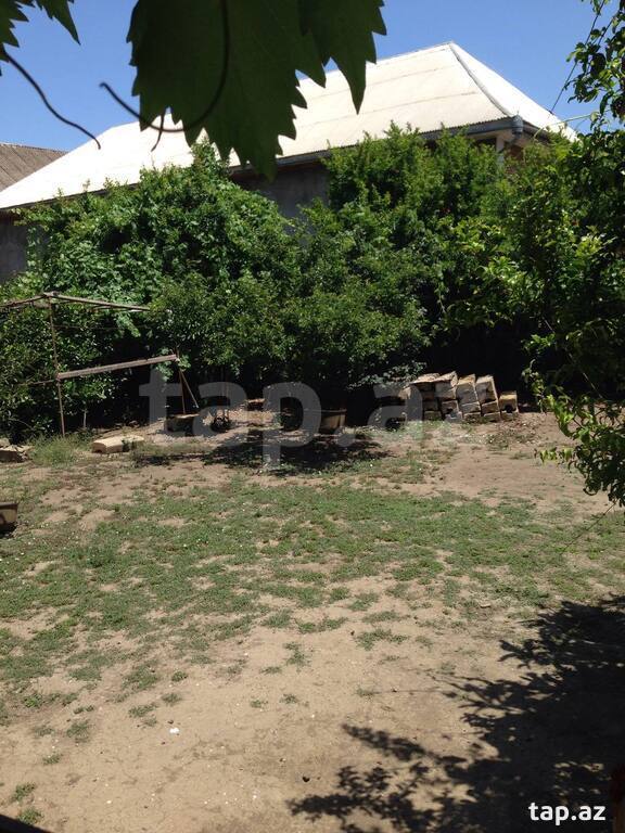 6 sot torpaq sahəsi, Lənkəran ş. (2)