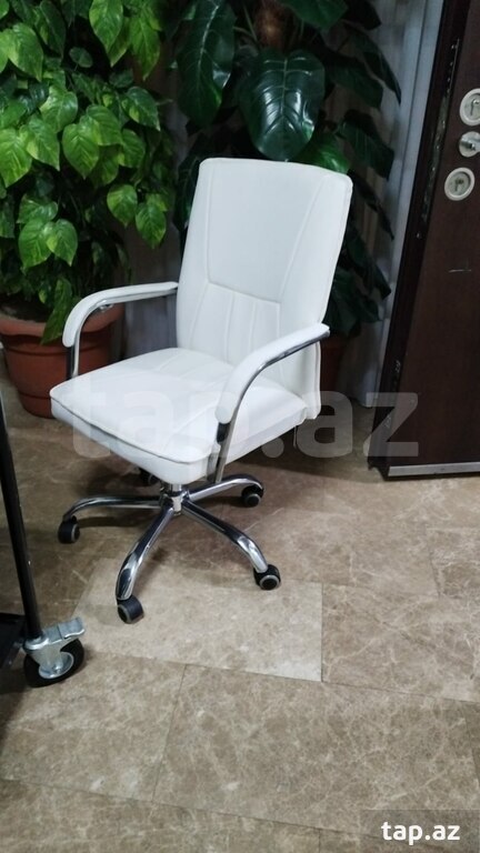 Ofis kreslosu (4)