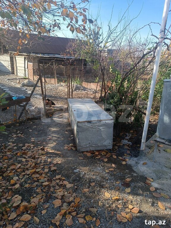 Həyət evi, Şəki ş. (4)
