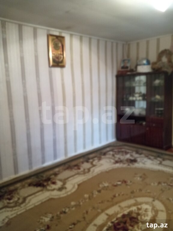 Həyət evi, Qəbələ ş. (15)