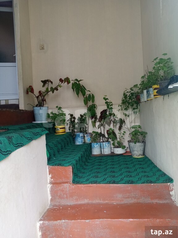Həyət evi, Qəbələ ş. (17)