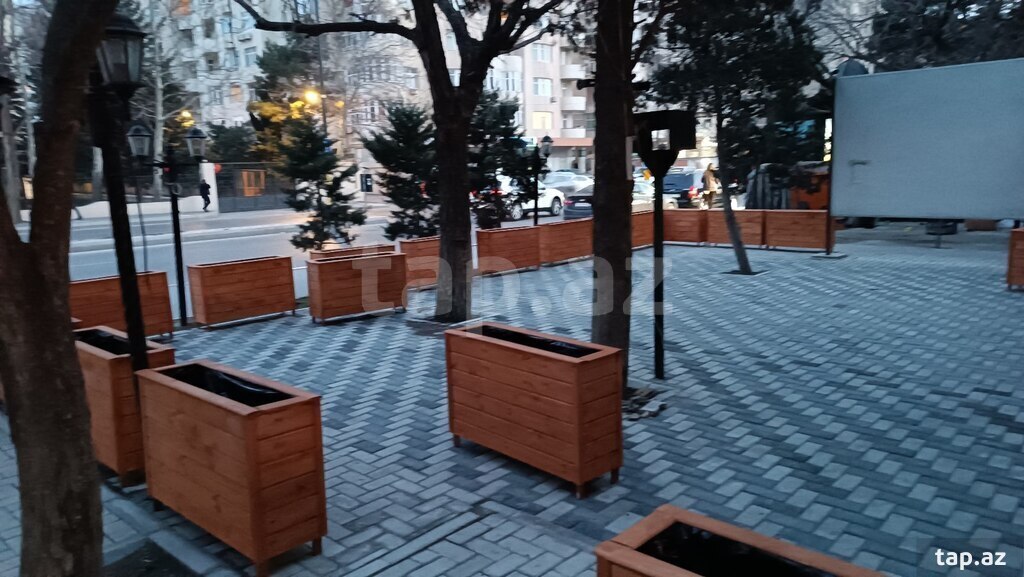 Taxta dibçəklər (3)