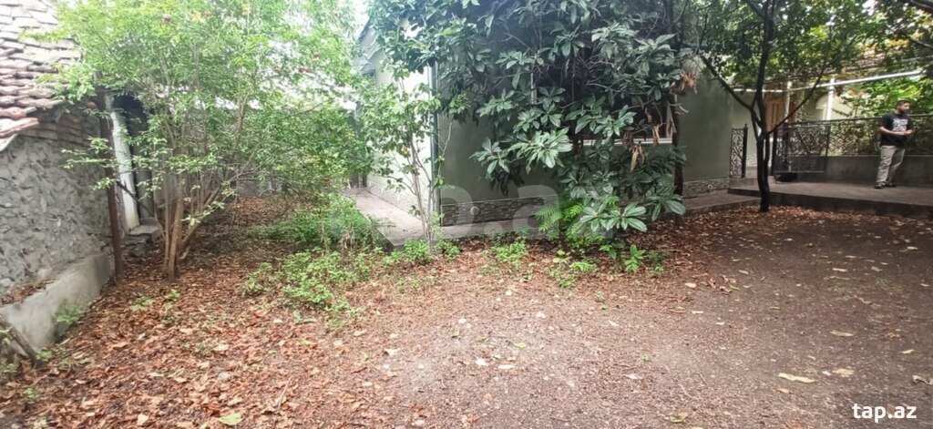 Həyət evi, Şəki ş.