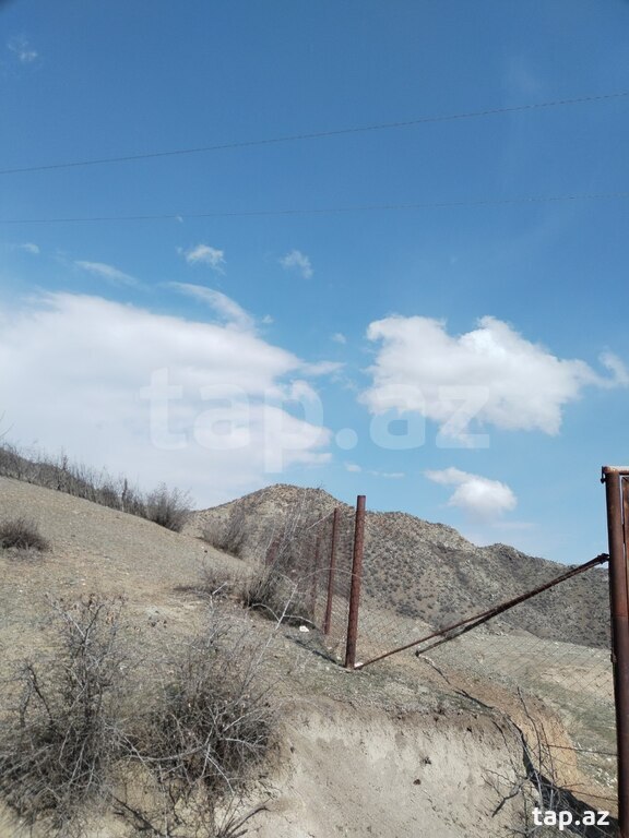 40 sot torpaq sahəsi, Tovuz r. (2)