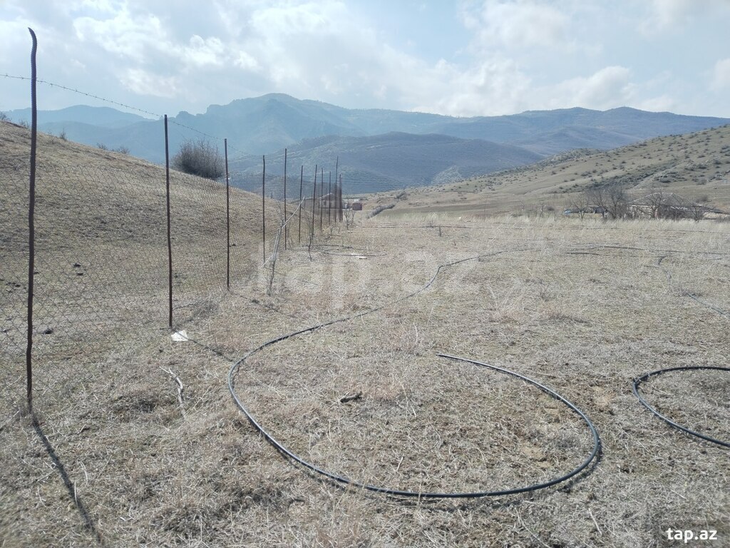 40 sot torpaq sahəsi, Tovuz r. (4)