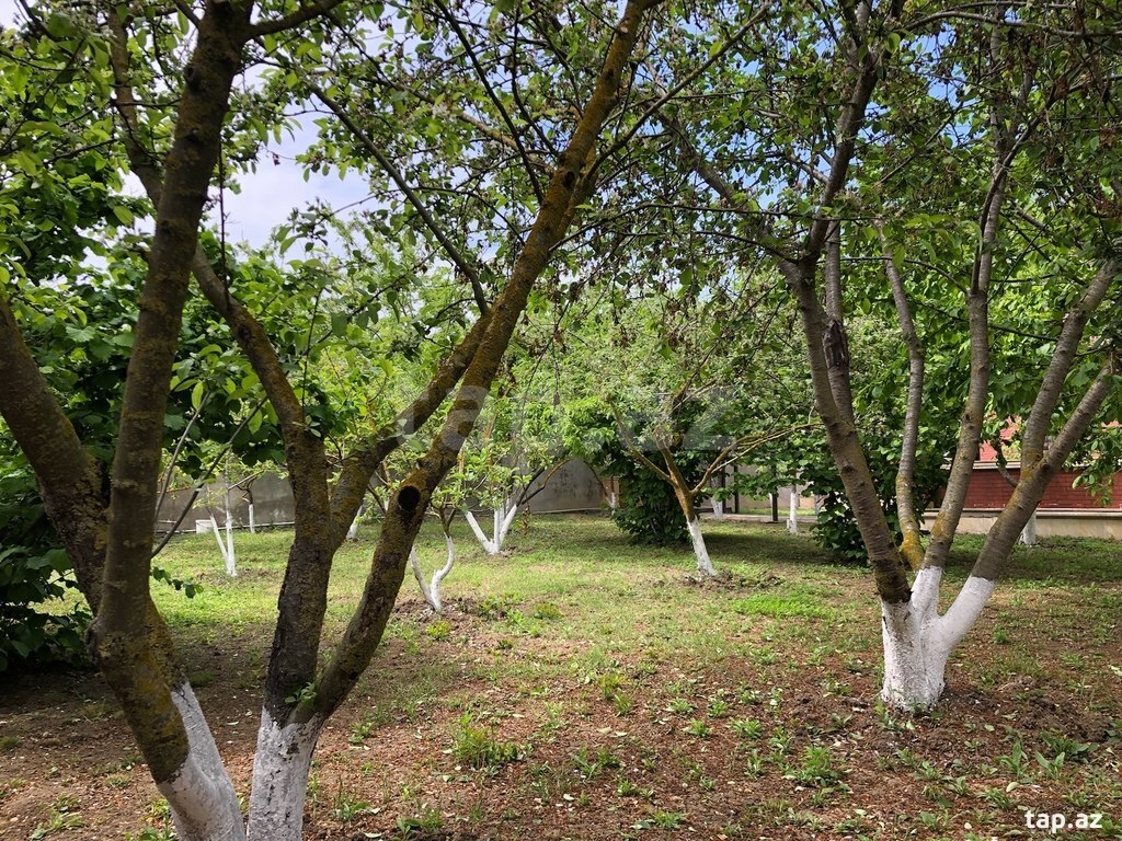 Bağ evi, Nabran qəs.