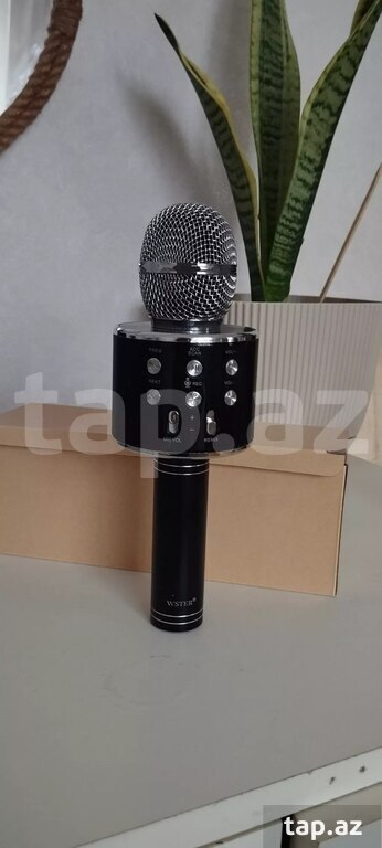 Karaoke mikrofonu