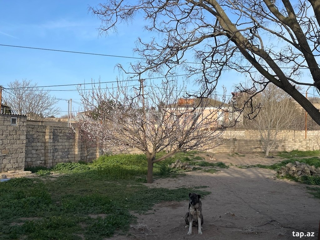 Land for sale, Binagadi settlement, Baku
