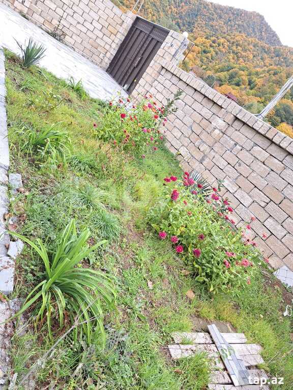 Həyət evi kirayə verilir, İsmayıllı r. (5)