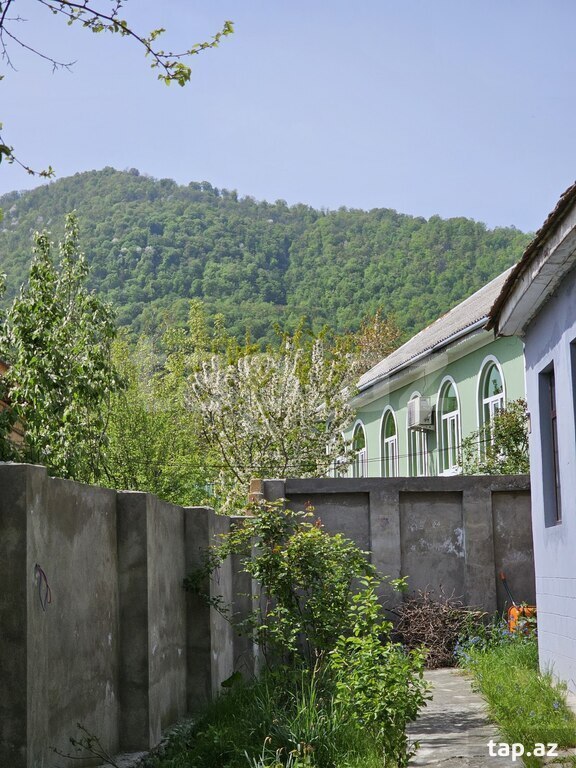 Həyət evi kirayə verilir, Qəbələ ş. (7)