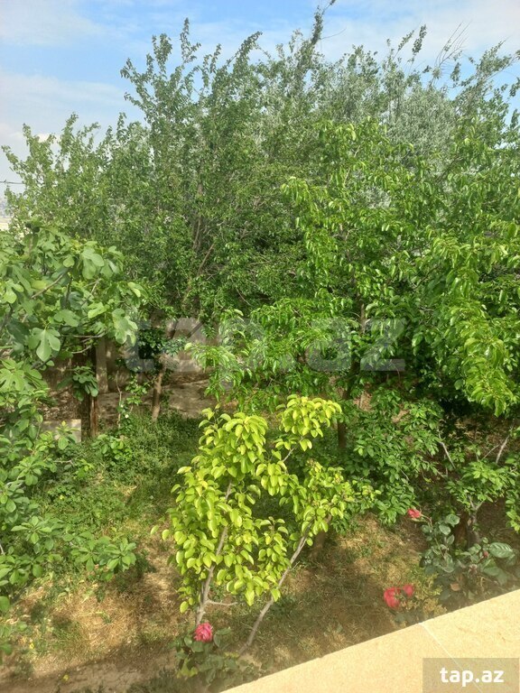 Həyət evi, Sulutəpə qəs. (4)