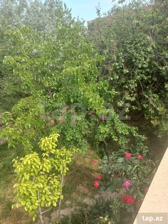 Həyət evi, Sulutəpə qəs. (5)
