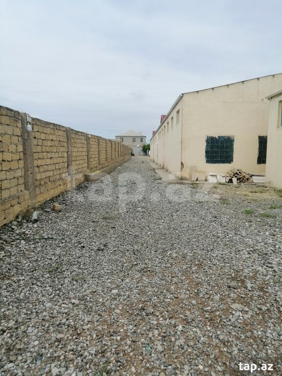 Obyekt icarəyə verilir, Abşeron r. (4)