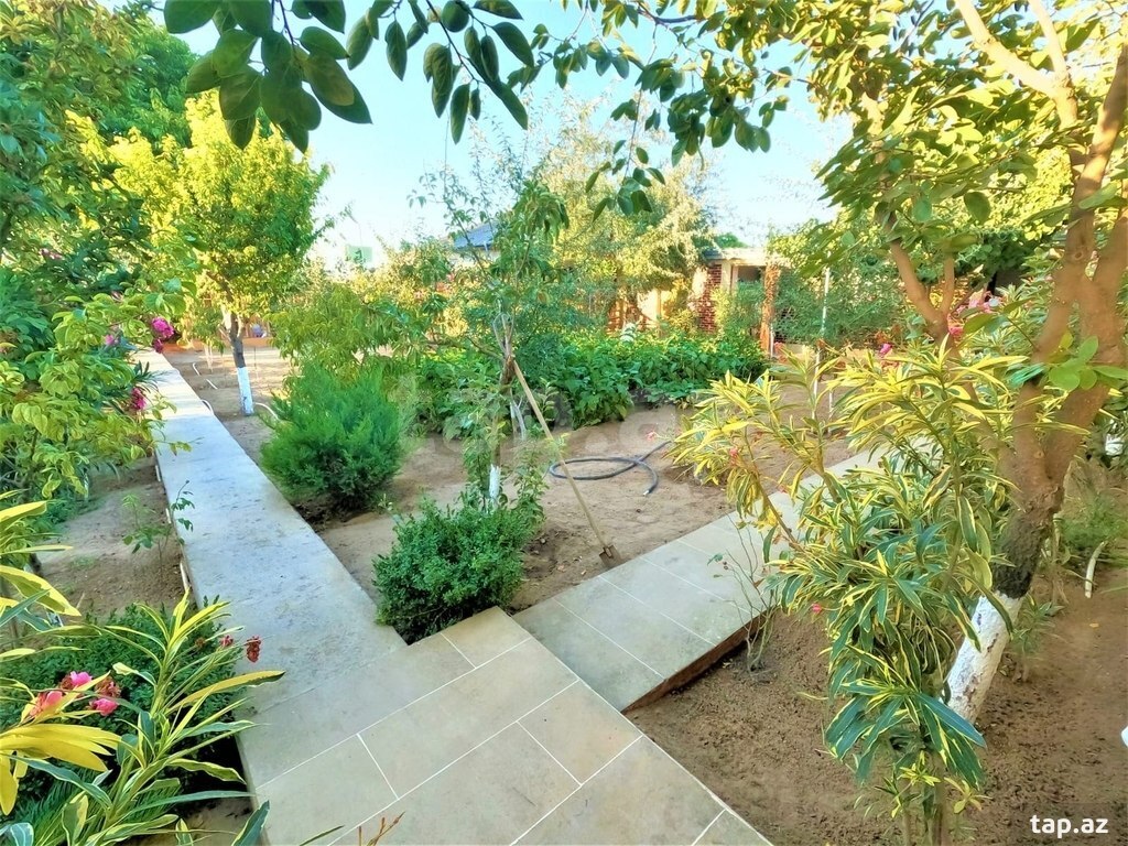 Bağ evi, Bilgəh qəs.