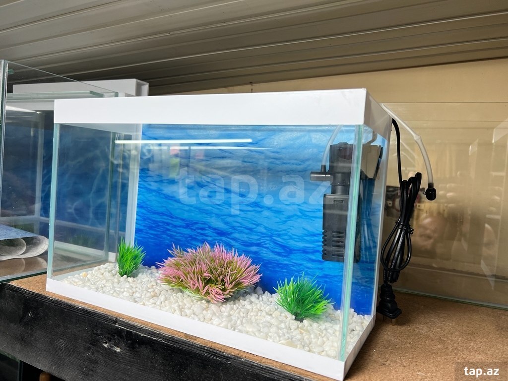 Akvarium