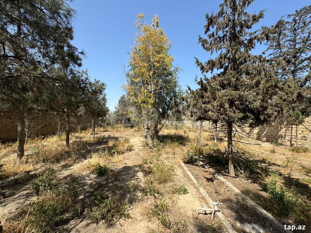 Torpaq satılır, Bakı