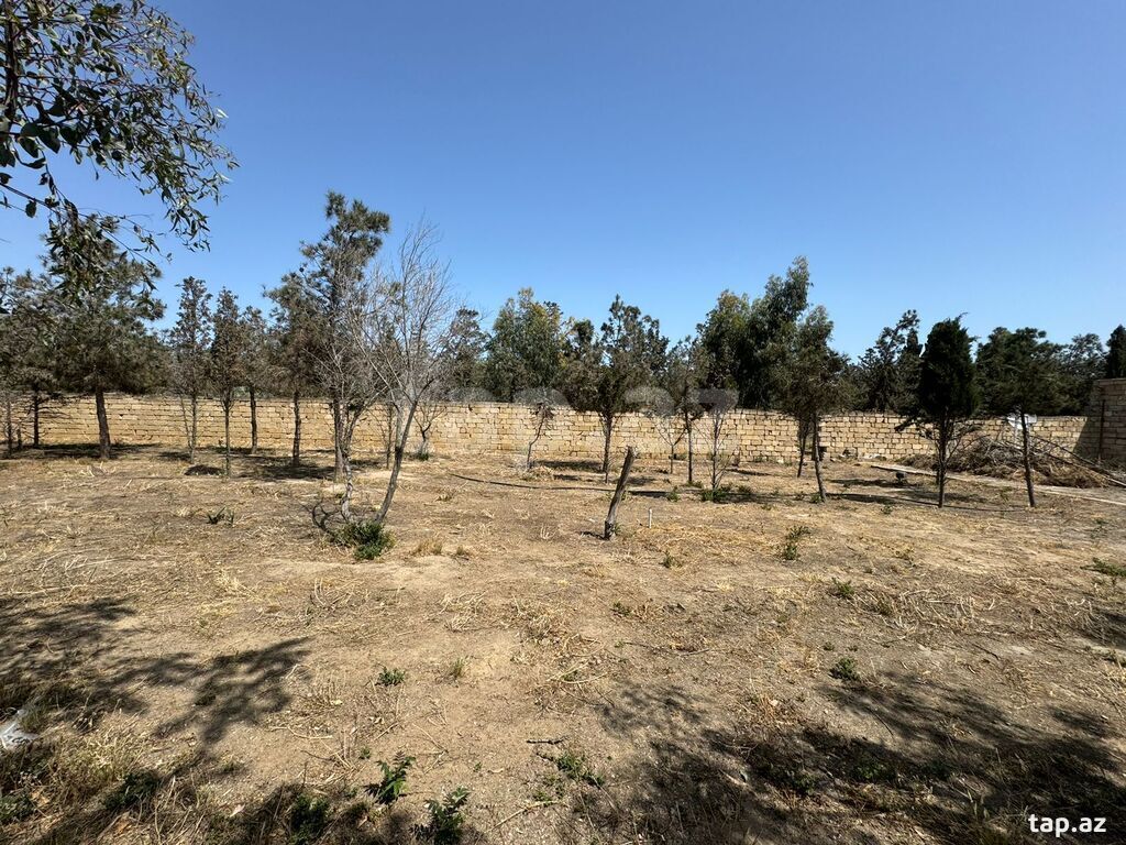 Torpaq satılır, Bakı