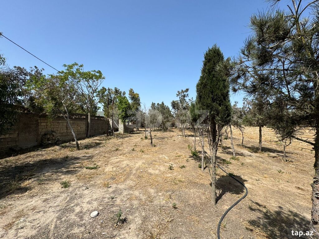 Torpaq satılır, Bakı