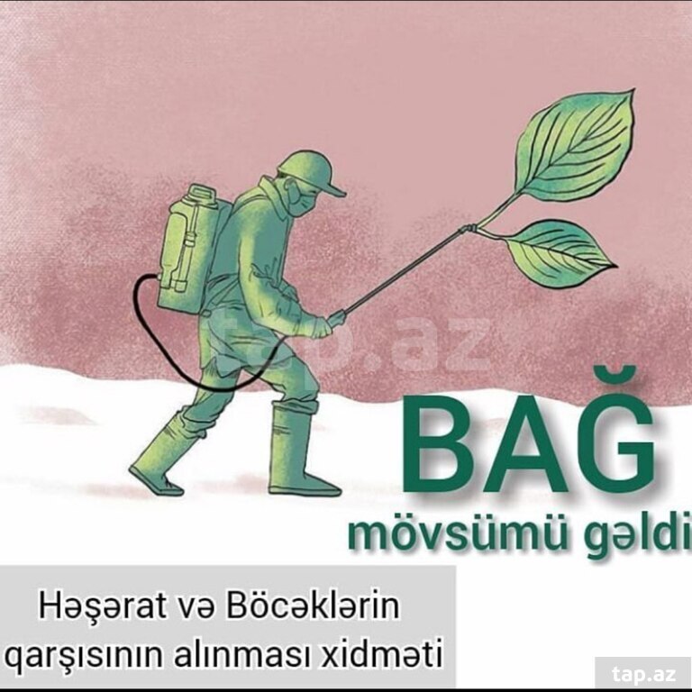 Dezinfeksiya xidməti  (7)