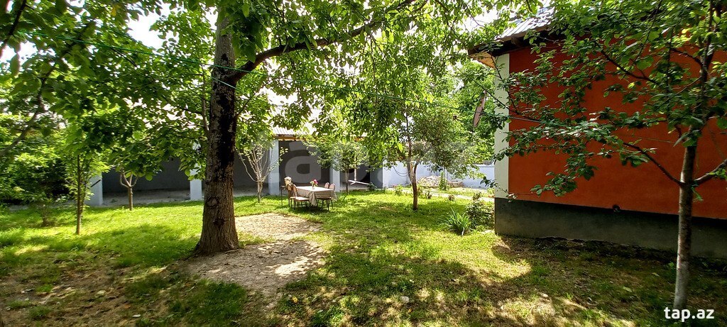 Həyət evi kirayə verilir, Qəbələ ş. (3)