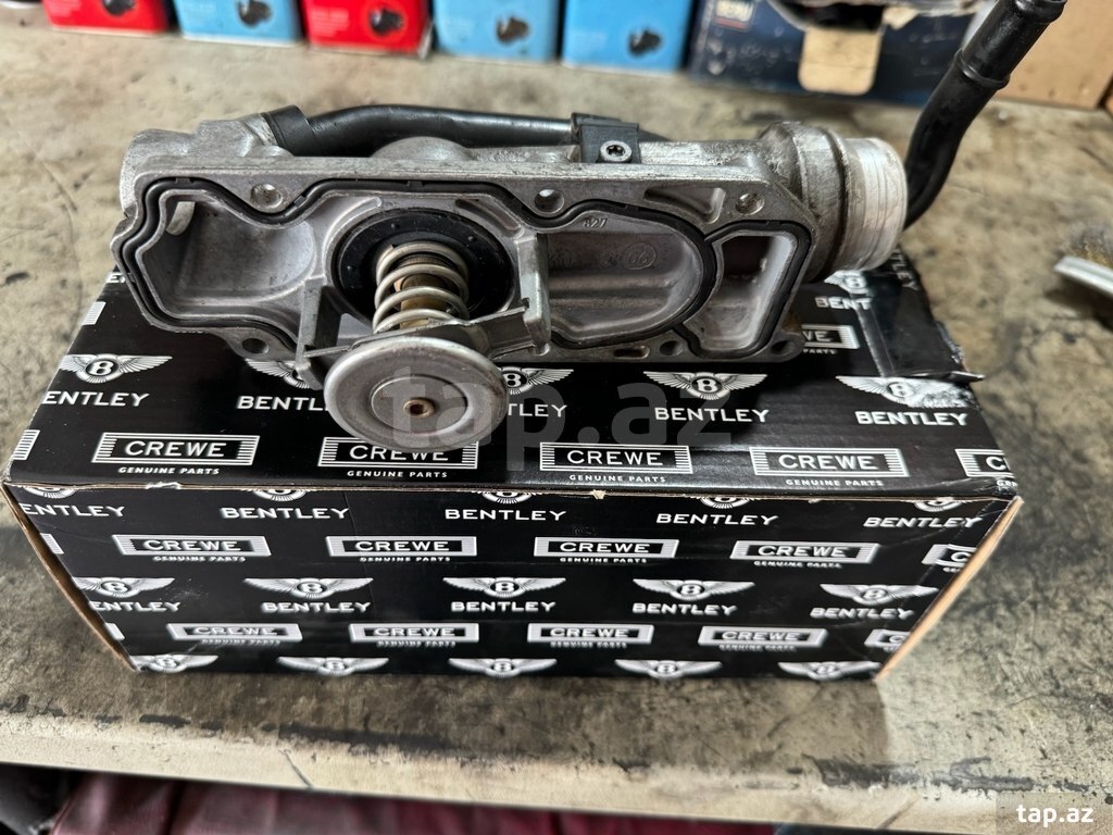"Bentley" termostatı